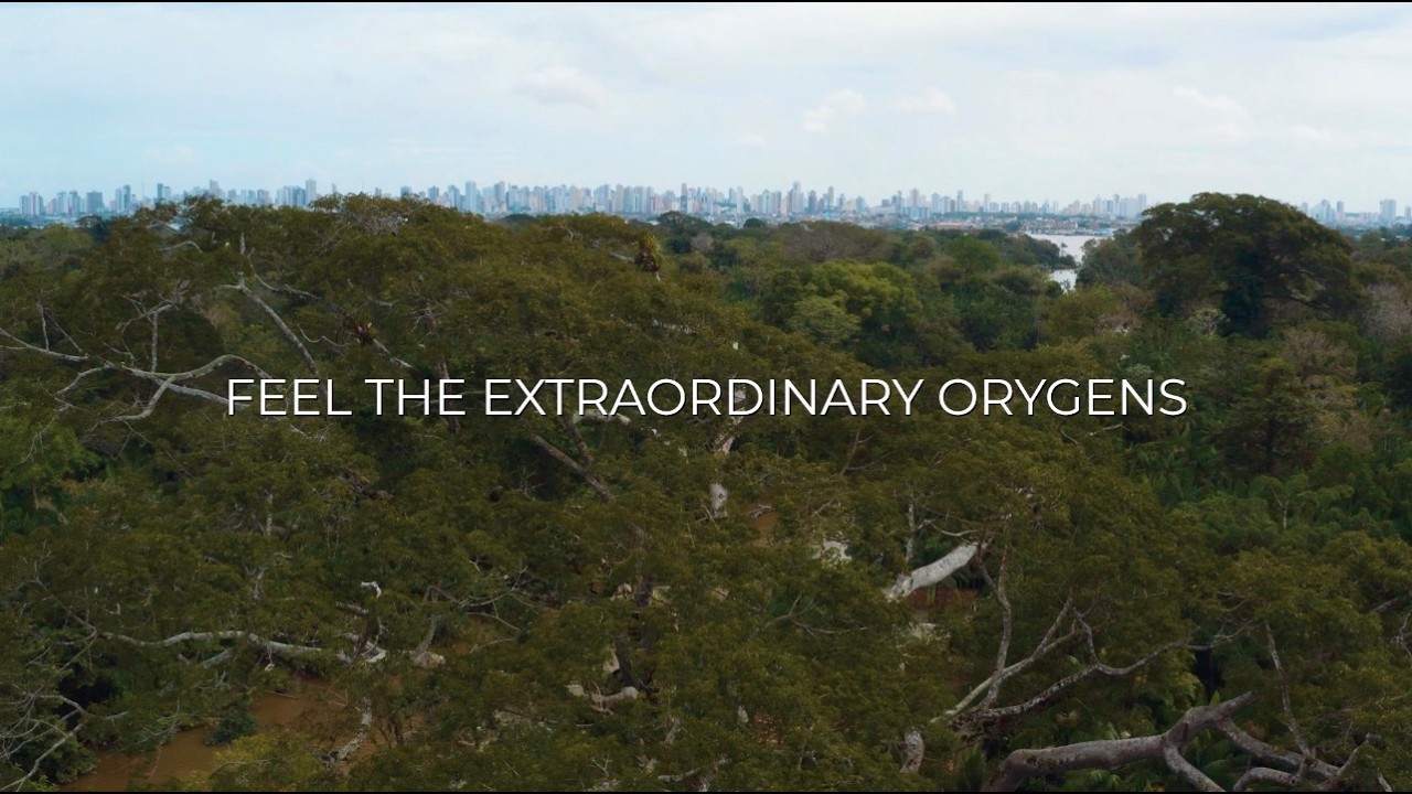 ORYGENS Apresentação