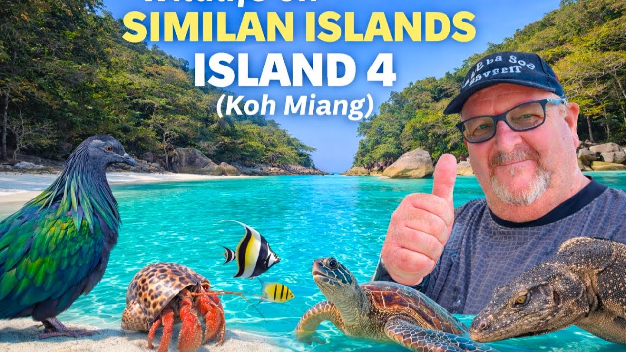 Остров 4 (Ко Мианг) на Симиланских островах | Самый красивый пляж в Таиланде?