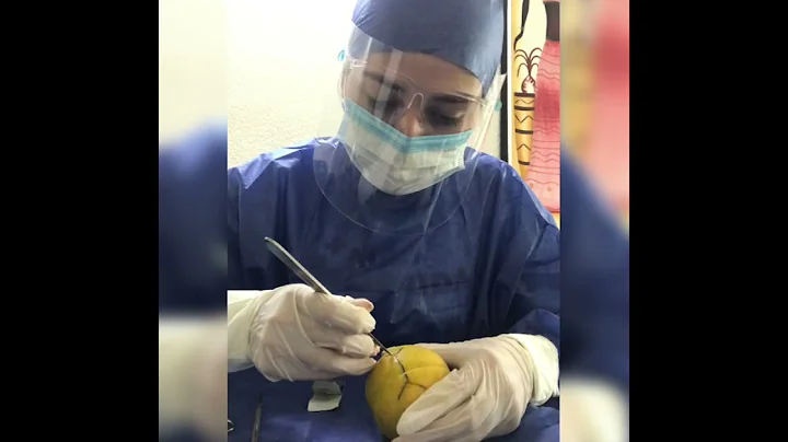 Tarea colocacin de bistur y tipos e incisiones den...