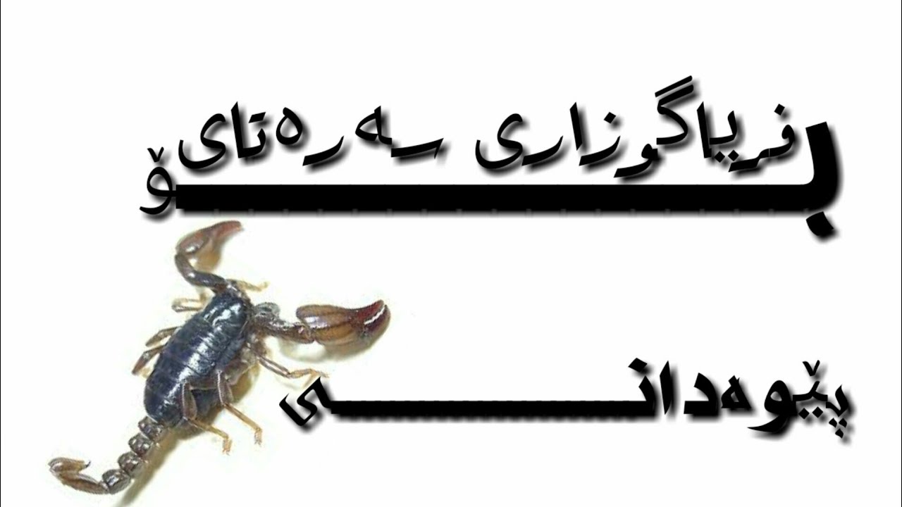 فریاگوزاری سەرەتای بۆ پیوەدانی دووپشک 🦂