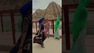 song dance love cat dj