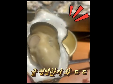 부산 서면 석화(굴) 맛집 해물왕