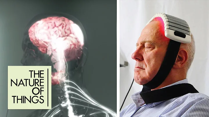 It Gave Me Back Life": How Irreversible Brain Dama...