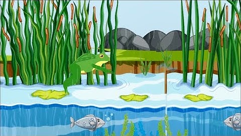 How Animators Create JUMP-tastic Frogs!