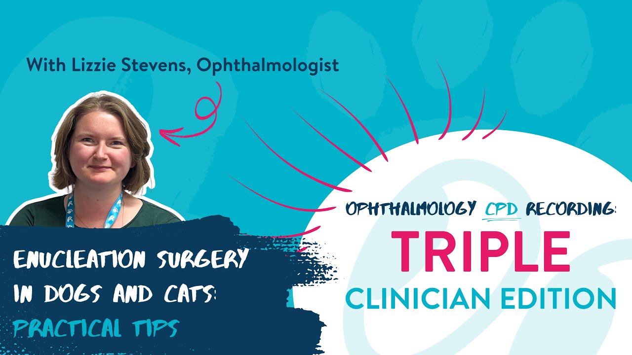 Enucleation Surgery in Dogs and Cats – Practical Tips