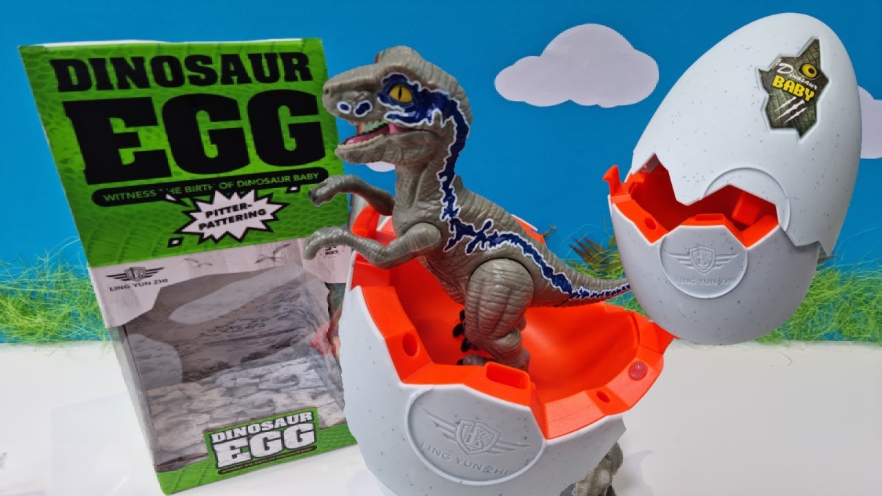 Dinosaur Self Hatching Egg for Kids Fun - YouTube