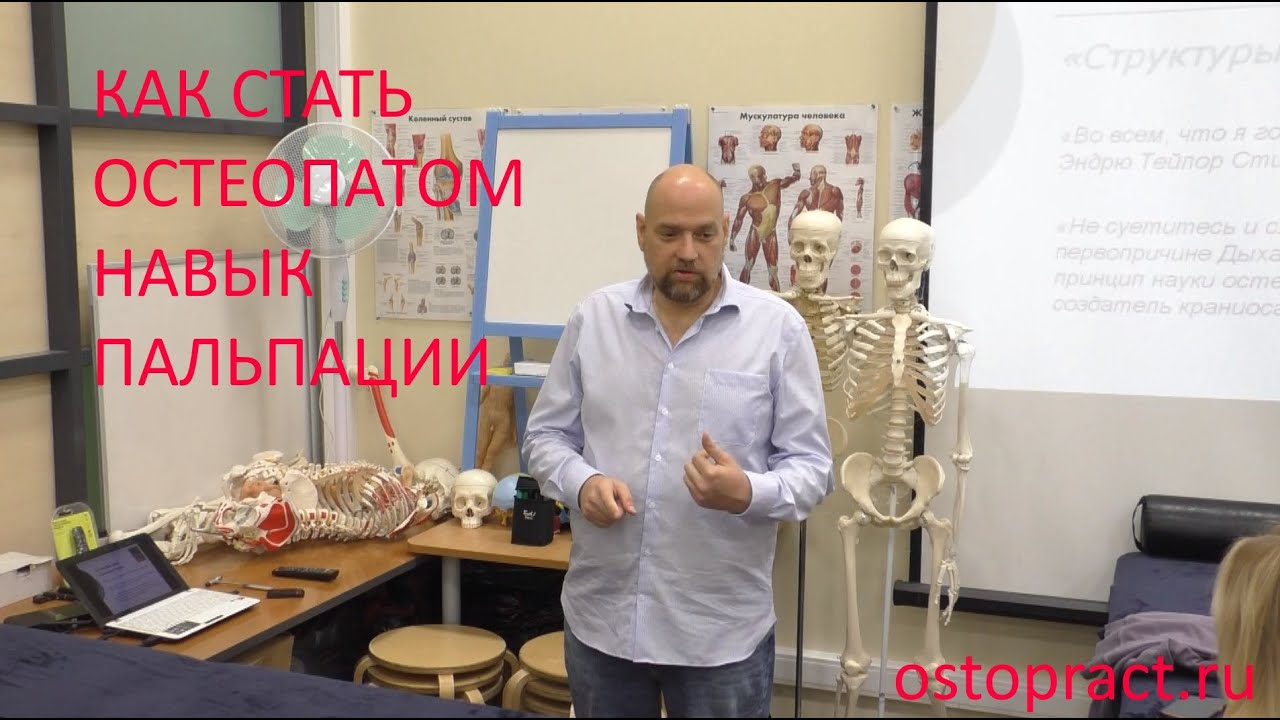 Остеопракт — как не врачу стать особым врачом. Навык пальпации. - YouTube
