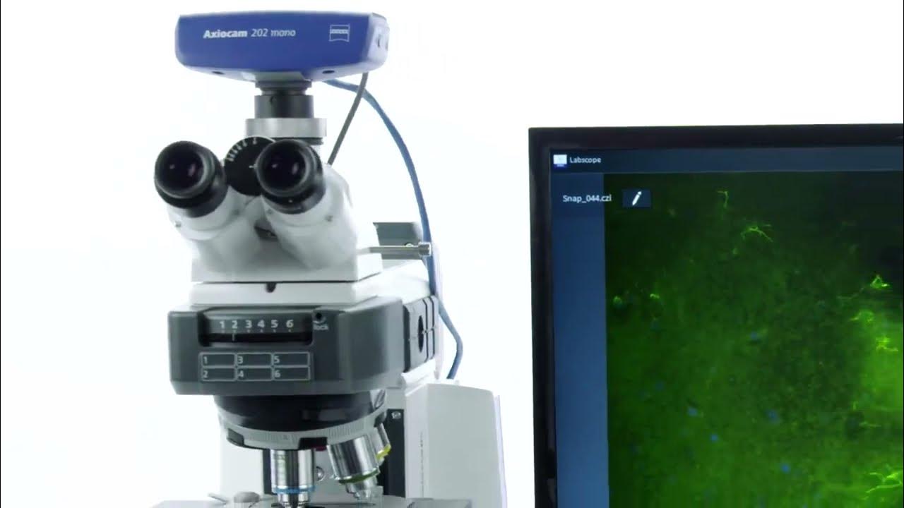 ZEISS Labscope Multichannel Fluorescence YouTube