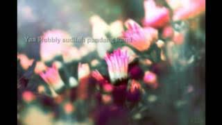 hadad alwi-doaku (lirik)