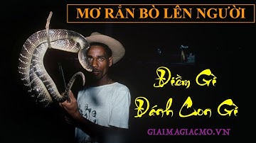 Mơ Thấy Rắn Bò Lên Người, Chui Vào Người Điềm Gì, Đánh Con Gì 👉 GiaiMaGiacMo.vn 👁. Giải Mã Giấc Mơ