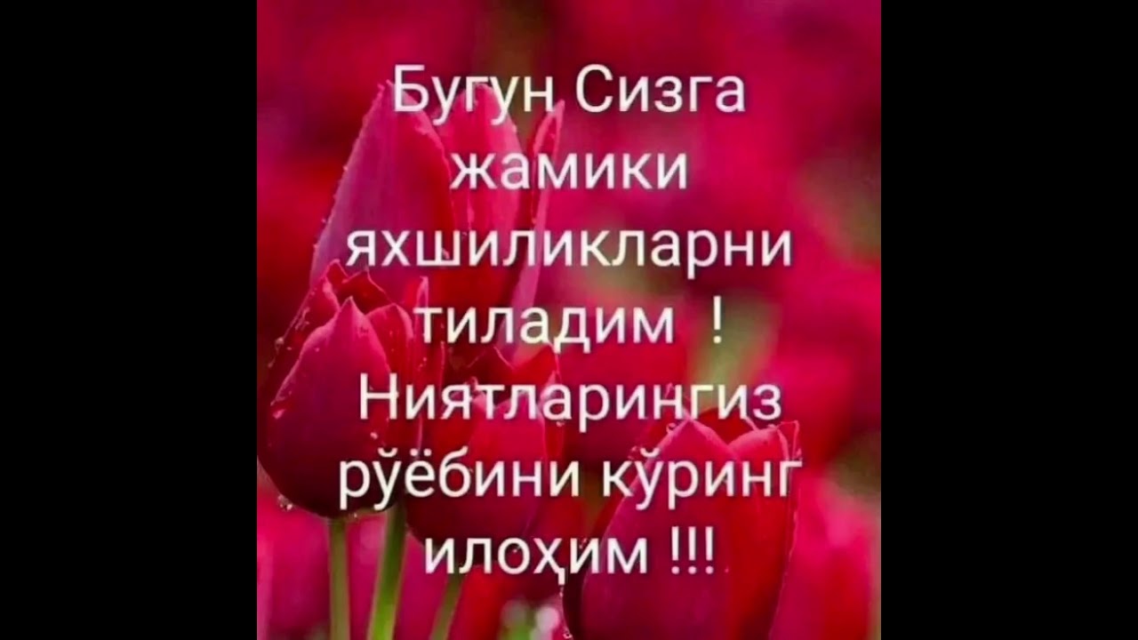 99899 051 43 05  Tabriklar loyixasi! #tugʻilgan kun # tabrik #rek