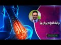 دور النباتات الطبيه في علاج الروماتيزم نهائيا الدكتور أحمد أبو النصر 