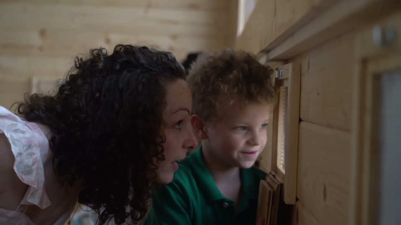 Dipende Bee Happy e la didattica