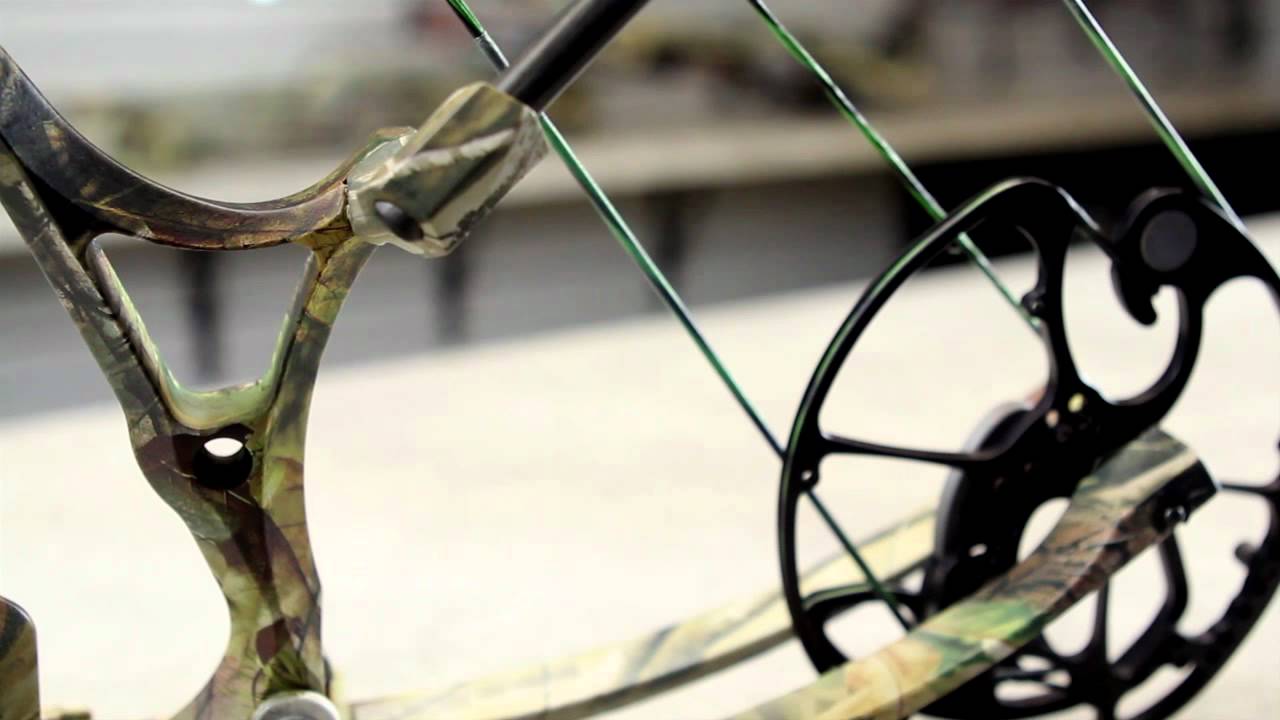 2013 Bear Empire Bow YouTube