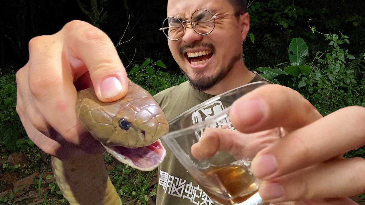 コブラを捕獲して毒酒を造る