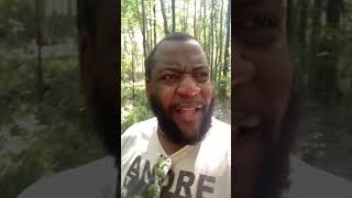 Dog Walk Mini Vlog- Shot On The Iphone Se 2020 Edited In Premiere Rush.