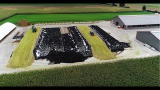 Kukurydza 2021 \u0026 GR SNELA \u0026