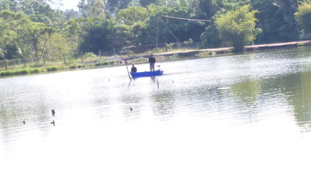 Ulasan Fish On Plastic Boat