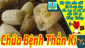 Xơ mướp- Công dụng chữa bệnh thần kì của xơ mướp mà ít ai biết