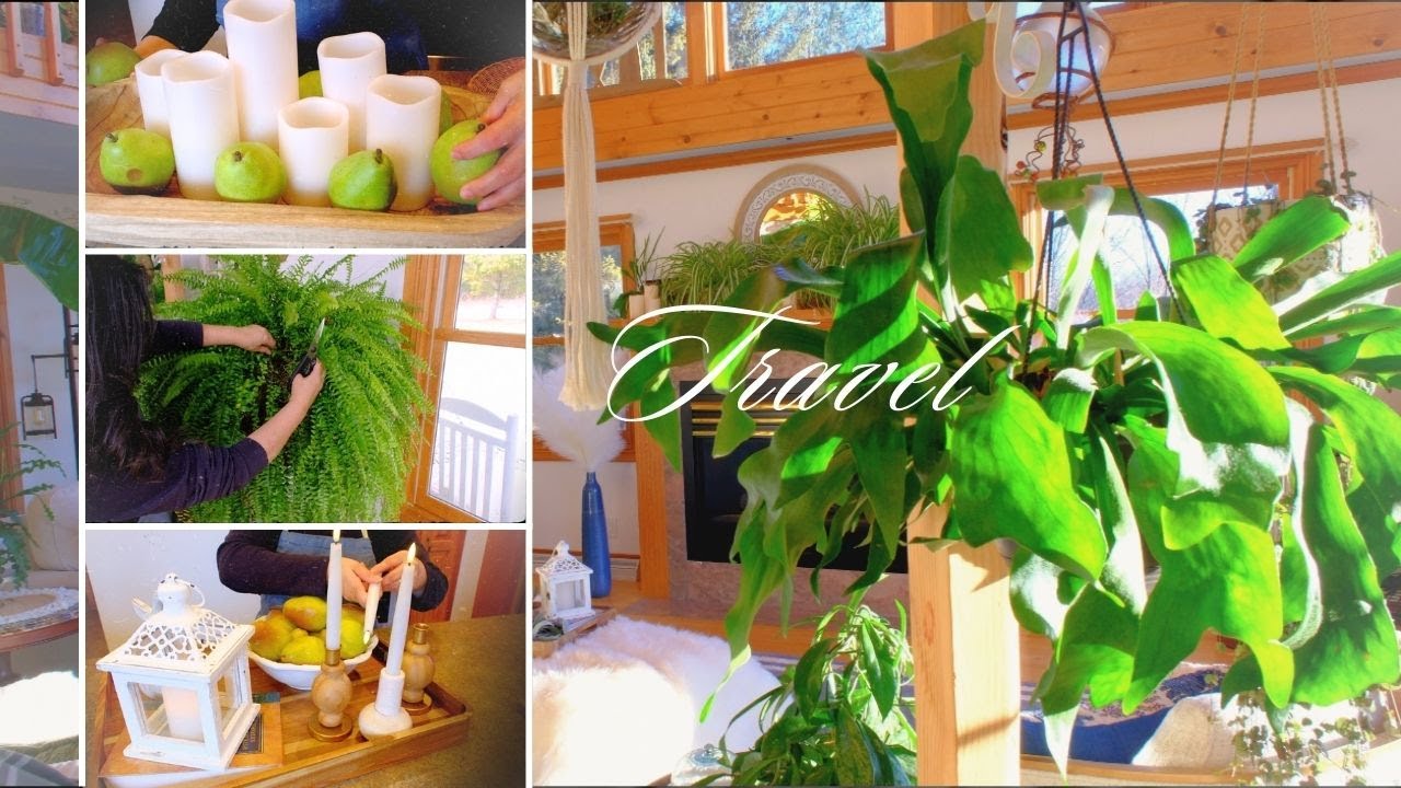 Nonna Vlog! Decoracion de Año Nuevo en Invierno