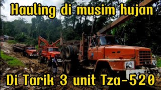 Logging truck holing dimusim hujan ( di tarik 3 unit TZ 520 )