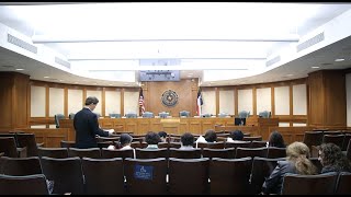 How language advocates brought community voices from Houston to the Capitol