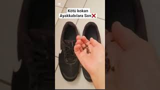 Kötü Kokan Ayakkabılara Son ❌️ Resimi