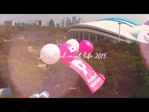 Beautiful Mint Life 2019 하이라이트