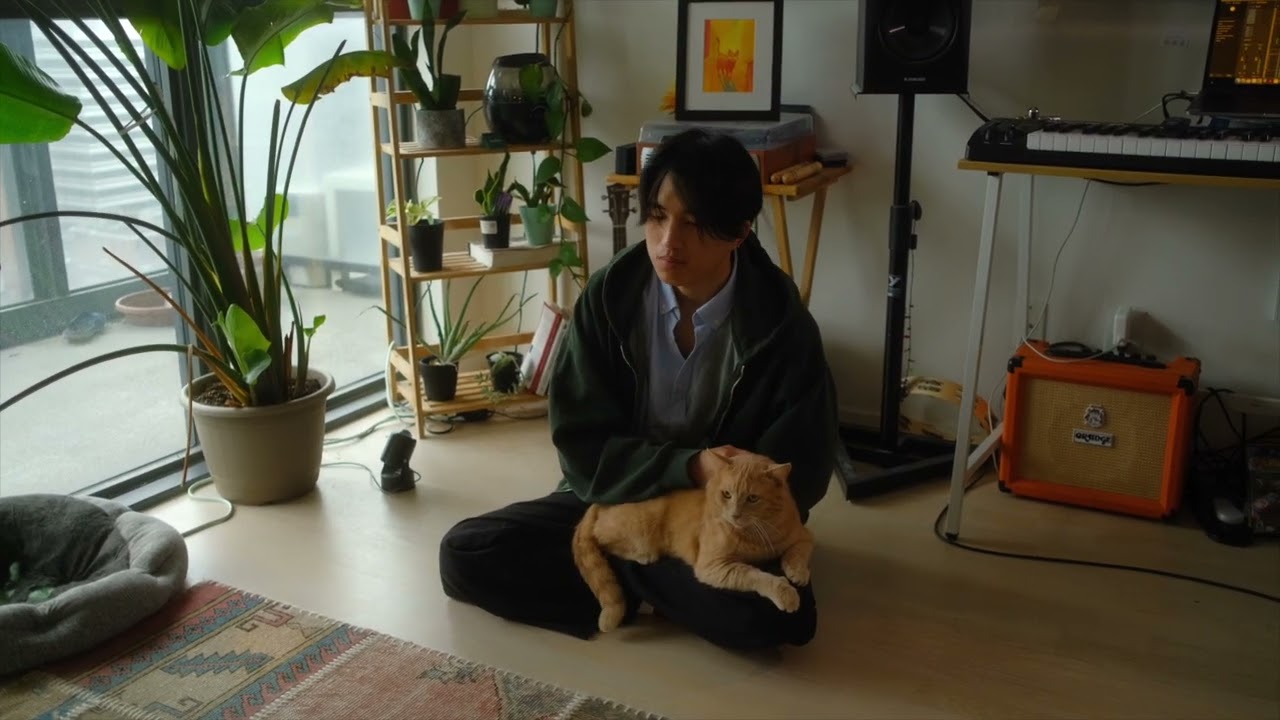 Peach Luffe - Comfort Me - Visualiser