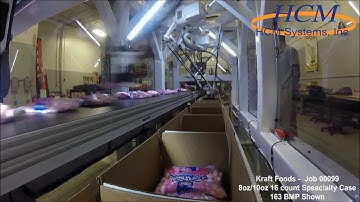 Robotic Pick and Place Bag Packing