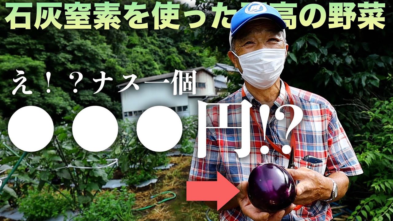 野菜栽培の達人の畑に行ってみたら…！？
