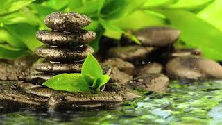 Zen Music : Deep Healing Frequencies and Meditative Soundscapes for Inner Peace