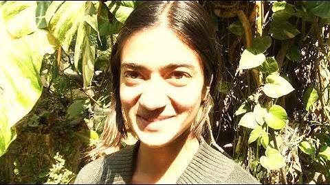 Synthfarm 2019 : Kalpa + Aditya Ghosh