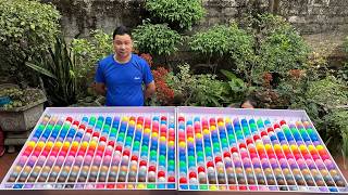 Puzzle sort ball game solve challenge very smart screenshot 4