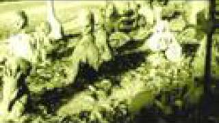 Pumpkinrot Yard Haunt 2004