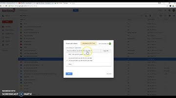 ePortfolio - Google Drive and YouTube Access
