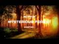 Sound of nature | Relaxation | Mysterious Forest (chapter I)
