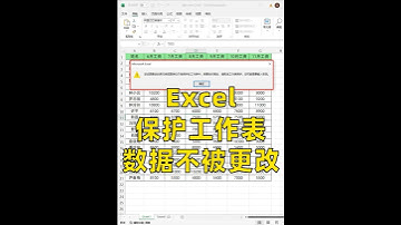 excel保护数据不被更改 #excel技巧 #干货 #office办公技巧 #办公技巧 #职场干货  学excel