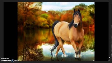 تلاوة قرأنية بصوت المهندس / أشرف أسامة - من سورة البقرة من اية 257حتى 264