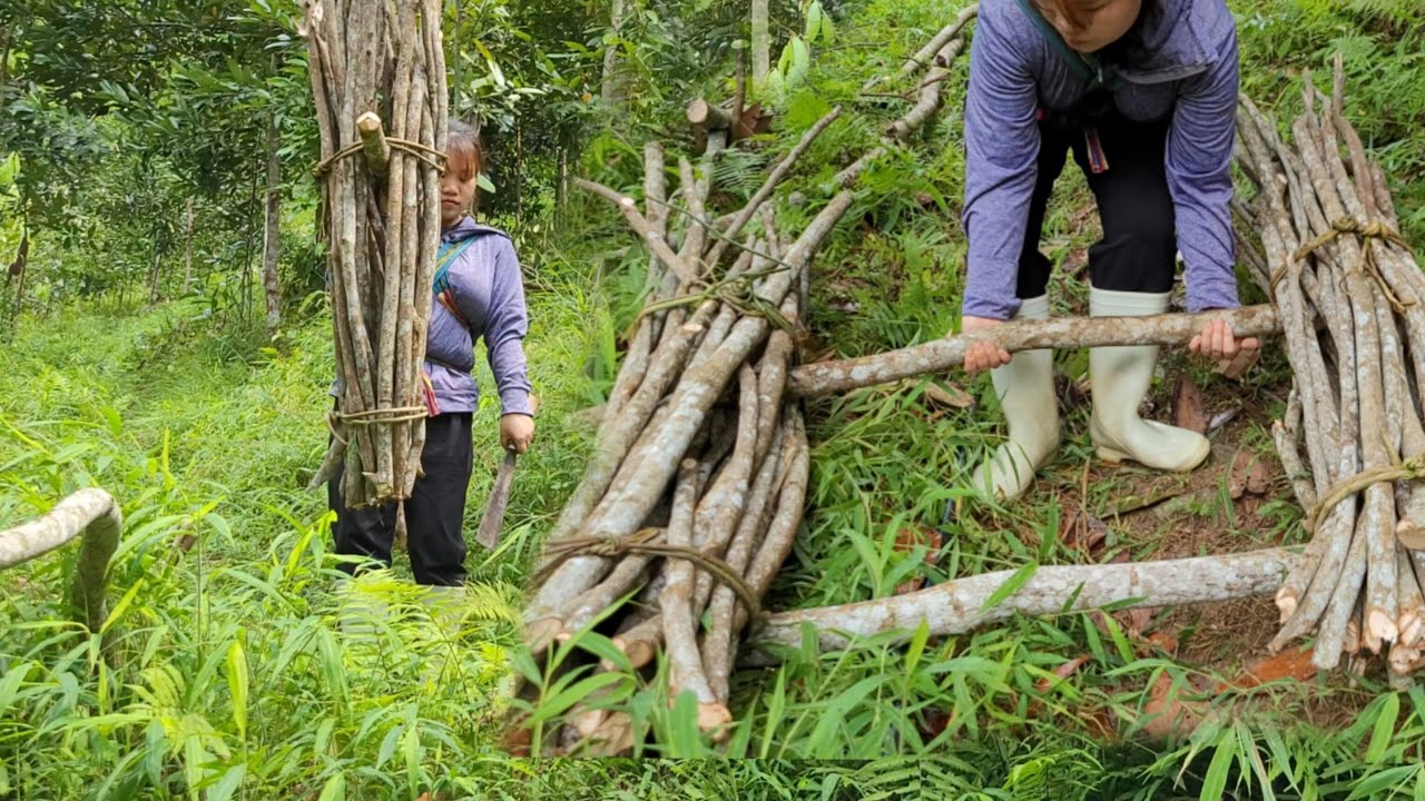 An 18-year-old single mother and her daughter went to collect firewood ...