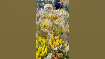 I Went to Trader Joe’s for One Thing…​⁠​⁠ #traderjoes #groceryhaul #shorts