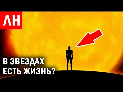 ВИндийском океане появилась огромная мертвая зона