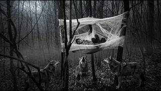 No Tent. No Sleeping Bag. Just PLASTIC WRAP and Wolves at Night 🐺