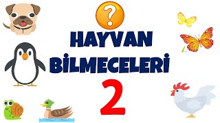 Hayvan Bi̇lmeceleri̇ 2