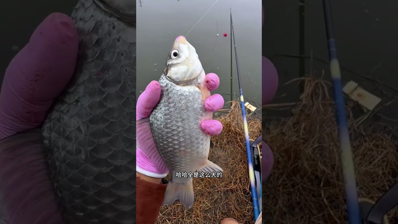 Top Trend: Douyin's Hot Balloon Fish Hunt