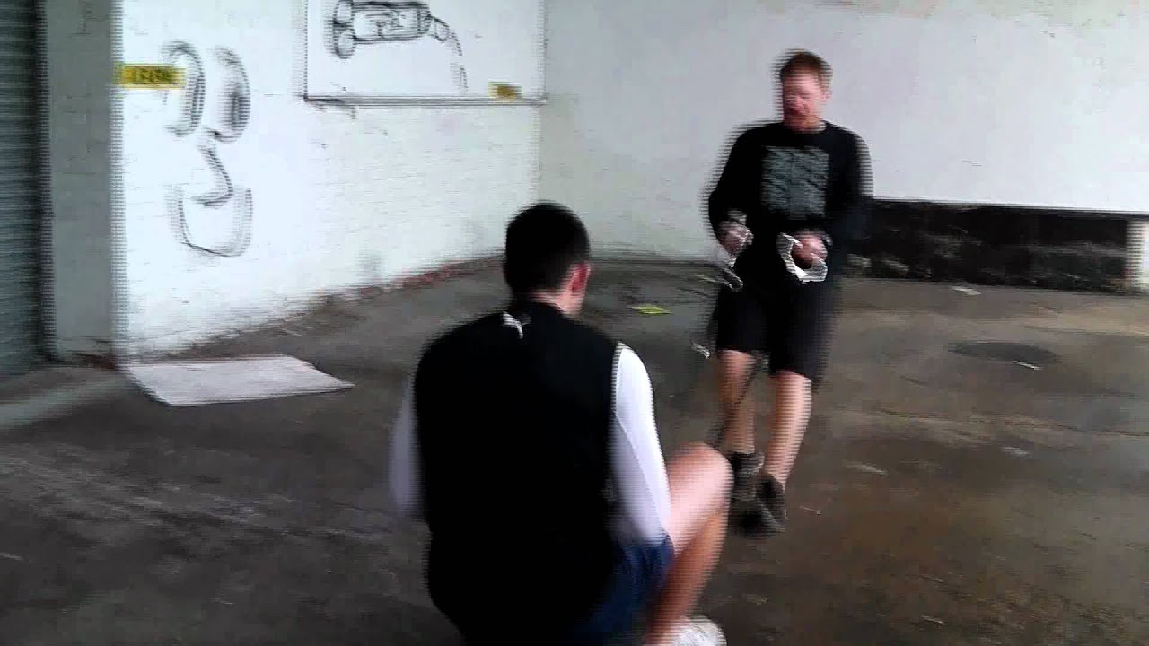 AnimalPerformance.com - 255 kg Backward Sled Drag