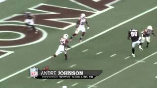 Andre Johnson # 80 | Houston Texans