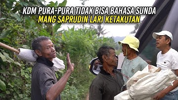 KDM PURA-PURA TIDAK BISA BAHASA SUNDA | MANG SAPRUDIN LARI KETAKUTAN