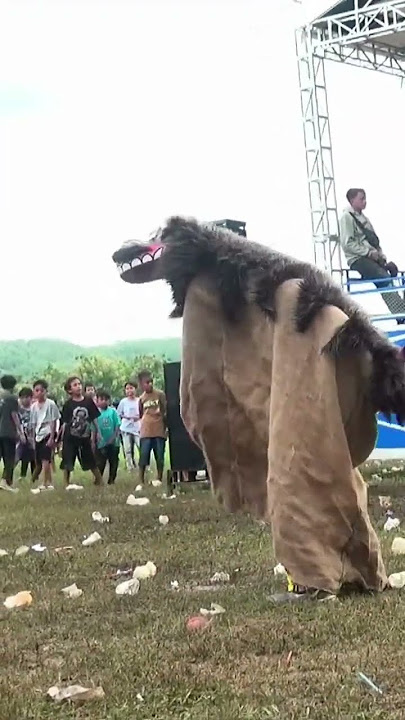 Grandong bukan ya? Ini Bangbarongan loh 🤣 #barongan #barong #grandong