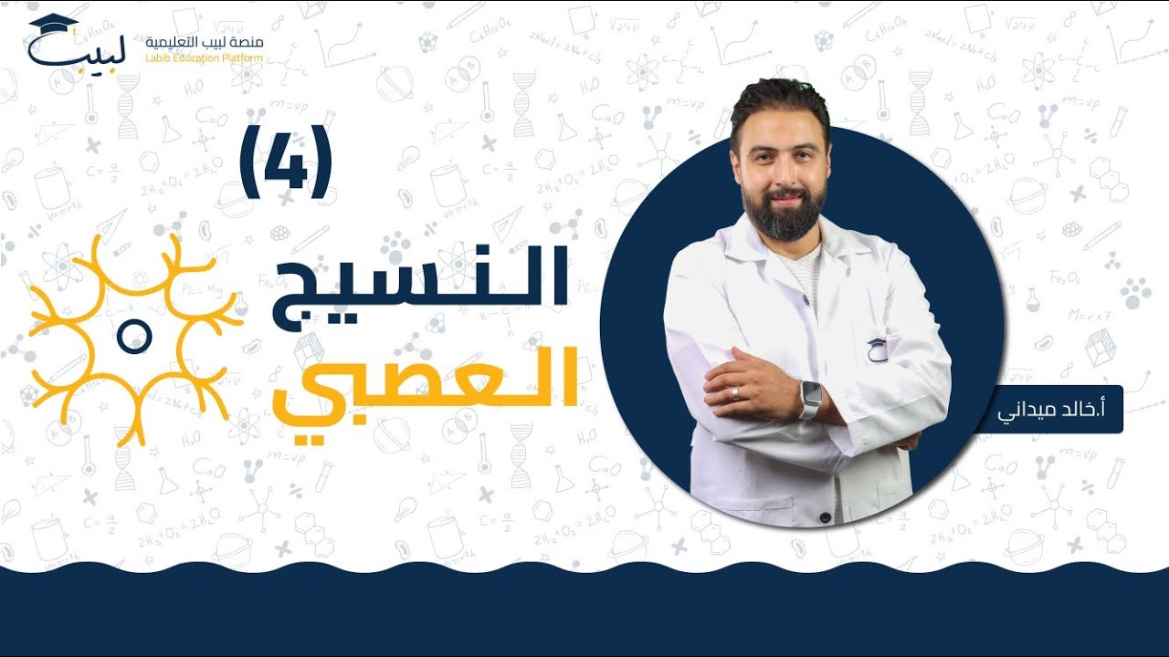النسيج العصبي (4) | البكالوريا العلمي | أ خالد ميداني 🥇| منصة لبيب التعليمية🎓